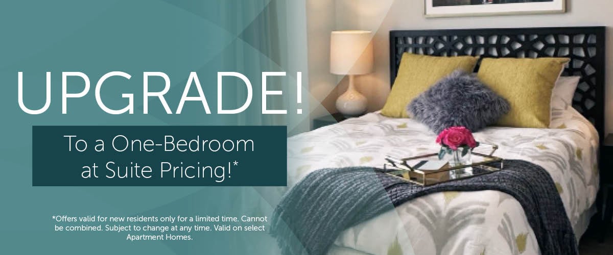 DCOP-0064-Slider_1_Bedroom_Spotlight_April_2026_1200_x_500